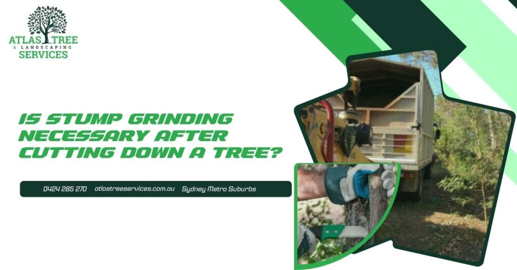 Stump Grinding